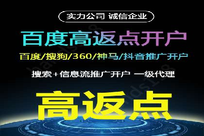 百度竞价广告投放成功案例解析