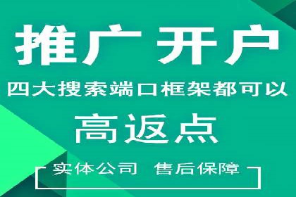 百度平台推广策略及成功案例解析